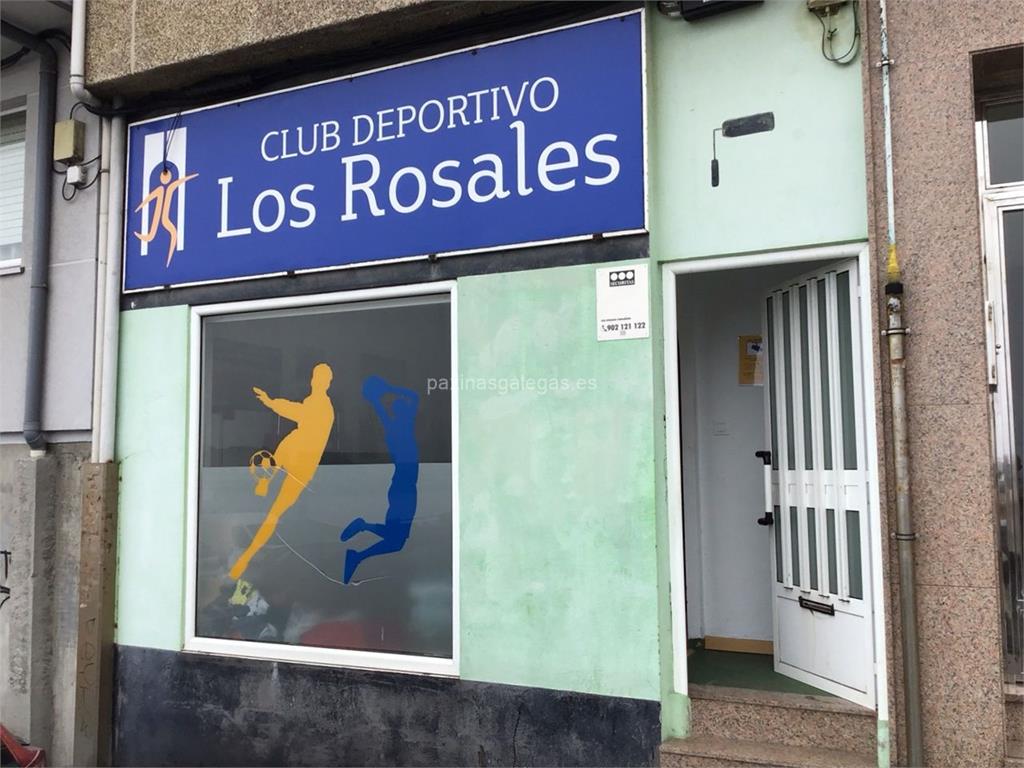 imagen principal Club Deportivo Los Rosales