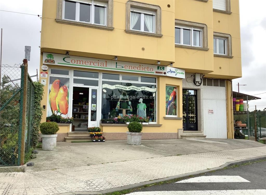 imagen principal Comercial Benedicto