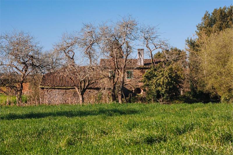 Imagen del epígrafe