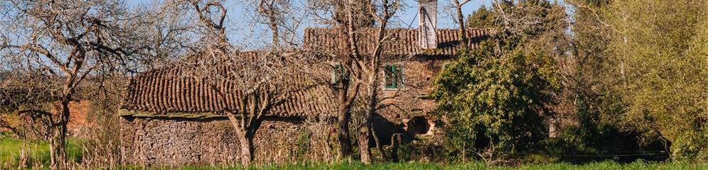 Compra y venta de fincas rústicas en Galicia