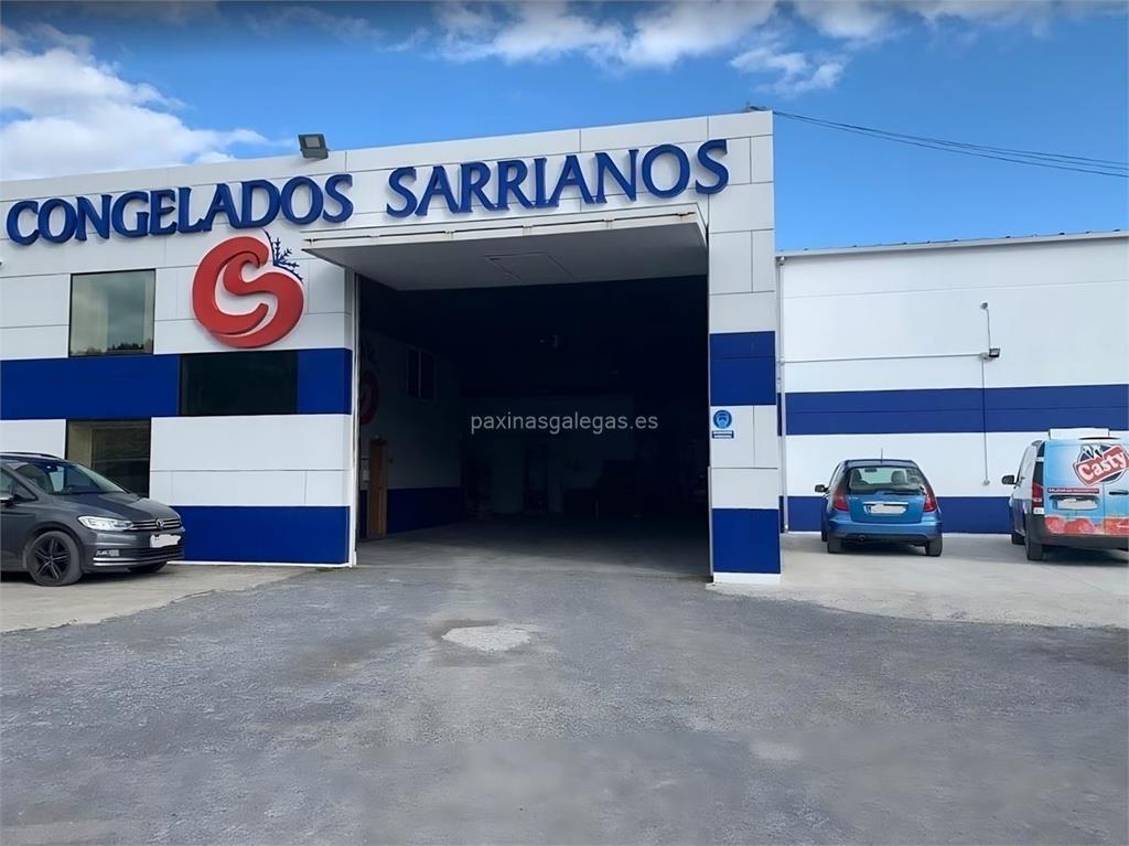 imagen principal Congelados Sarrianos