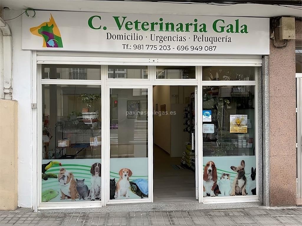 imagen principal Consulta Veterinaria Gala (Proplan)