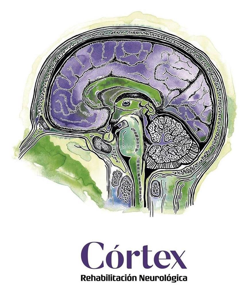 logotipo Córtex