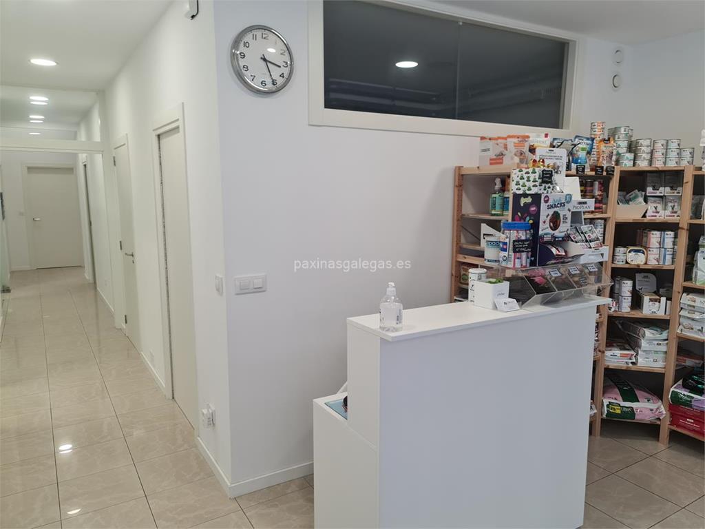 Coruvet imagen 6