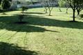 imagen 2 Crislimp
