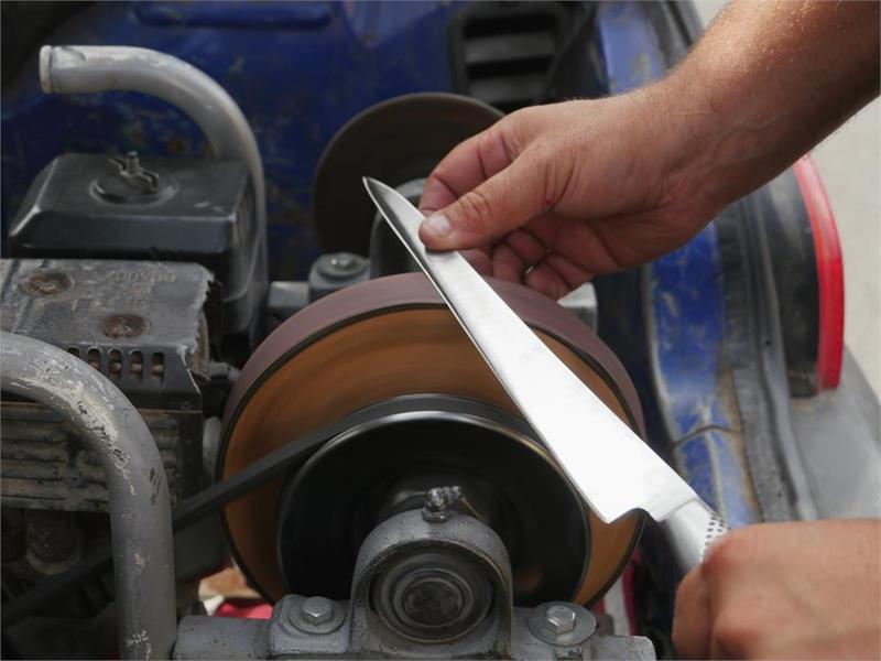 Imagen del epígrafe