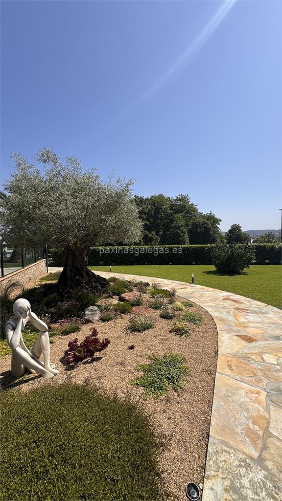 imagen principal De Flor a Jardín