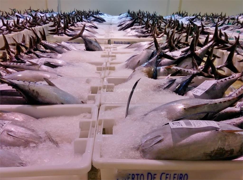 imagen principal De la Lonja a la Mesa