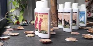 Foto de la empresa (3)