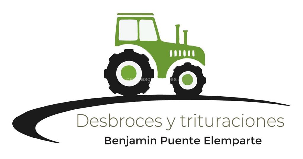 logotipo Desbroces y Trituraciones Benjamín Puente