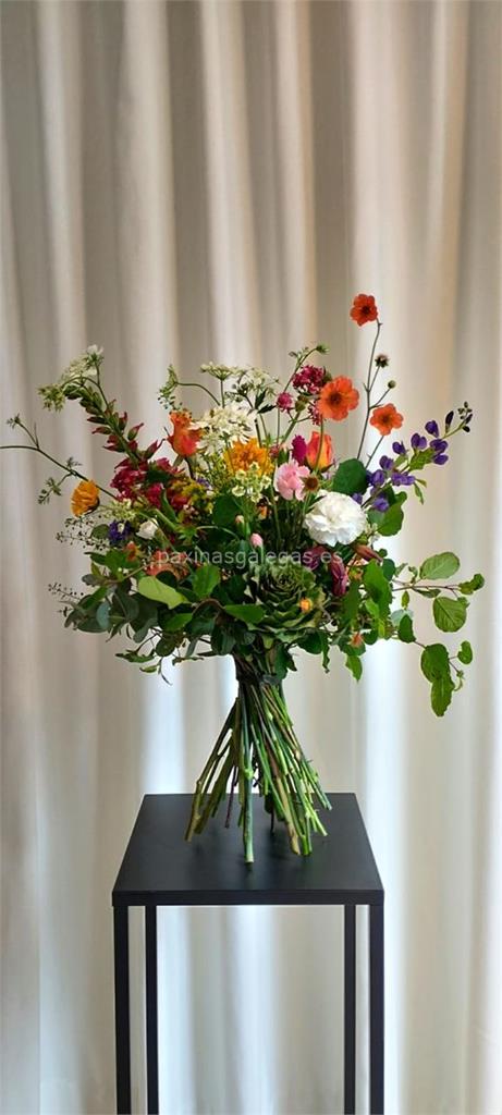 Descaro Estudio Floral imagen 6