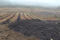 imagen principal DGS Agro Forestais