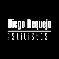 Logotipo Diego Requejo Estilistas