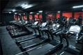 imagen principal Disciplina Muscular
