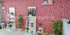 Foto de la empresa (1)