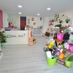 Foto de la empresa (2)