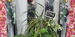 Foto de la empresa (3)