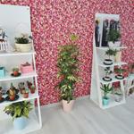 Foto de la empresa (4)