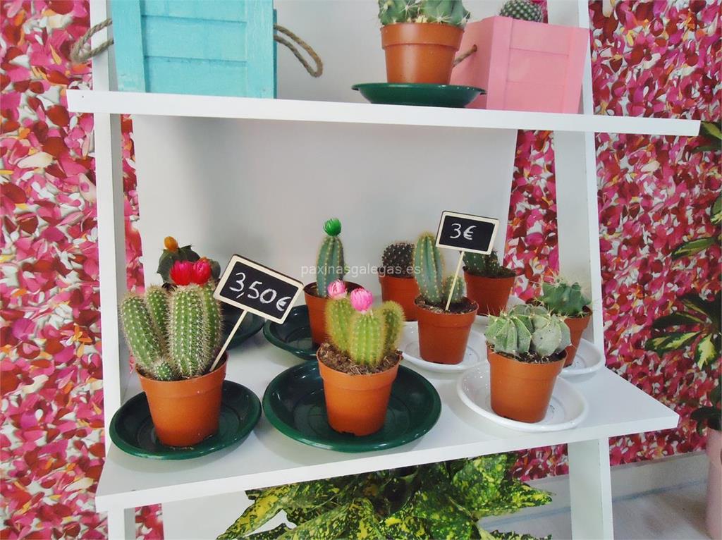 Díselo con Flores imagen 6