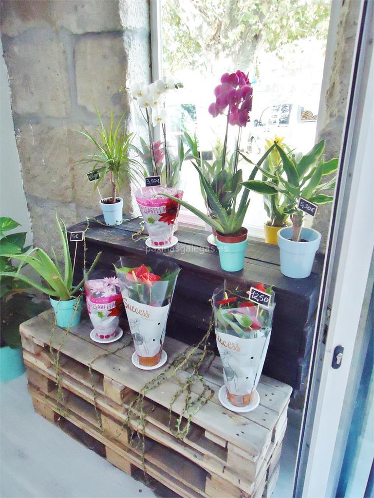 Díselo con Flores imagen 8