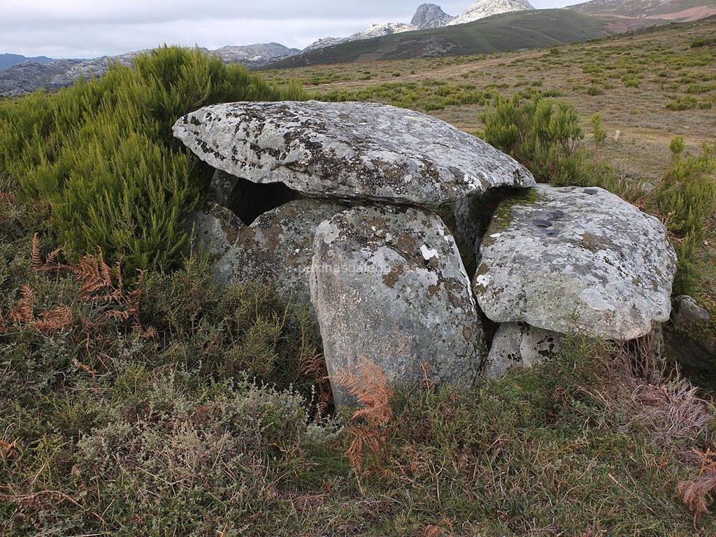 imagen principal Dolmen Casa da Moura