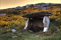 imagen principal Dolmen Fornela dos Mouros