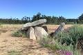 imagen principal Dolmen Pedra da Arca