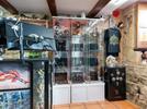 imagen 1 DR. Mortiis - Tattoo Clinic