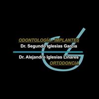 Logotipo Dr. Segundo Iglesias García