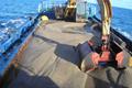 imagen principal Dragado y Mantenimiento de Puertos