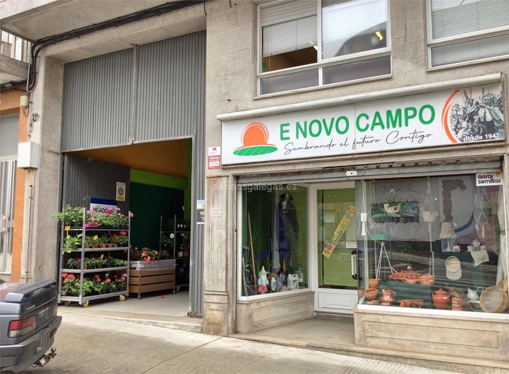 imagen principal E Novo Campo