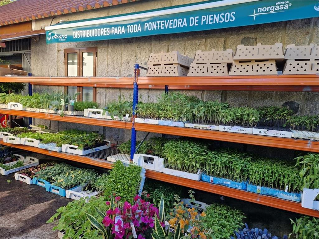 imagen principal Economato Agrícola
