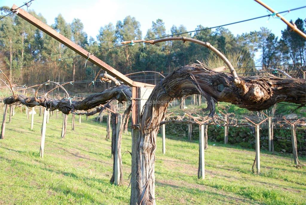 imagen principal Eido da Fonte (Albariño, Mencía y Sousón)