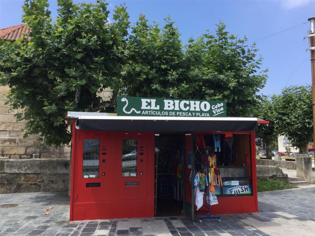 imagen principal El Bicho