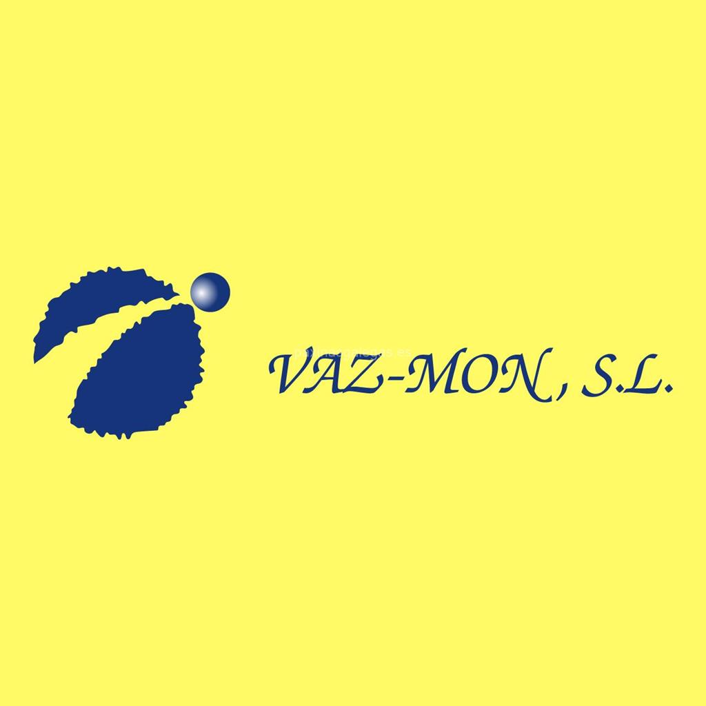 logotipo Electricidad Vaz-Mon