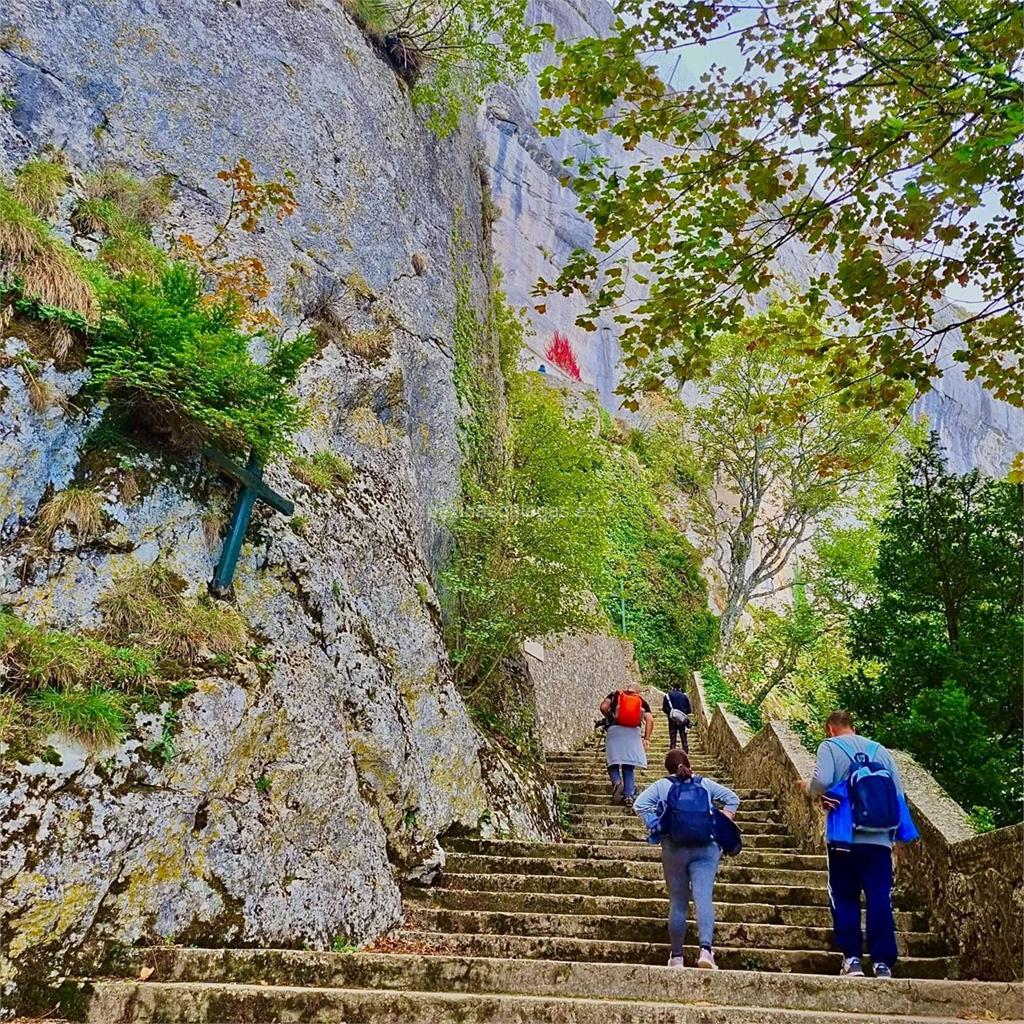 Escuela Luz de Luz imagen 17