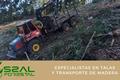 video corporativo Essal Forestal