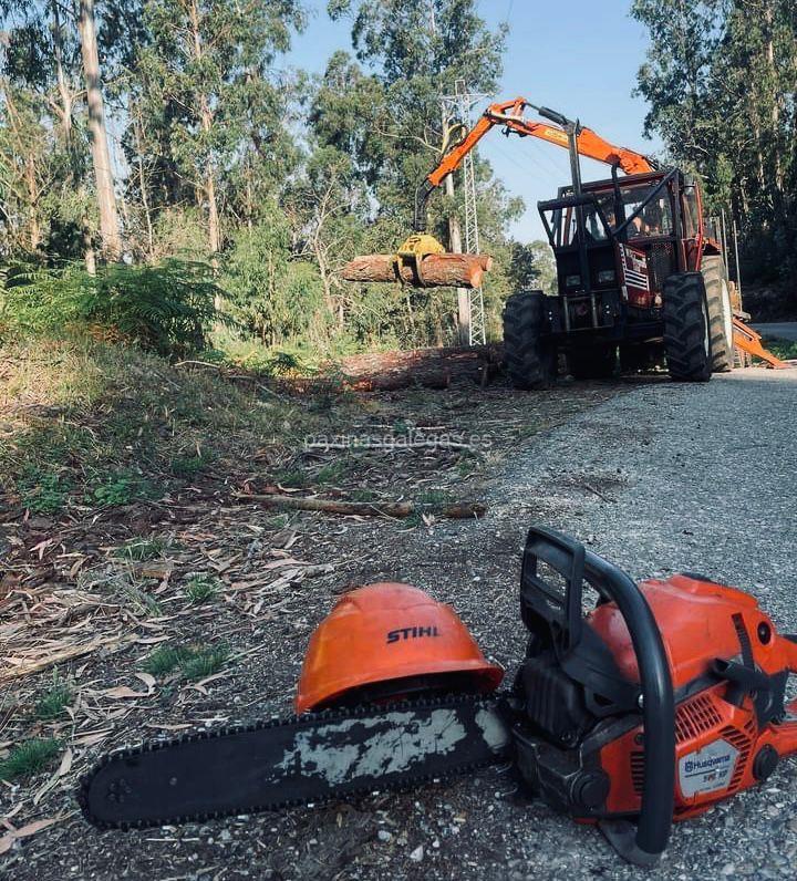 Essal Forestal imagen 6