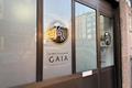 imagen principal Estudio Gaia