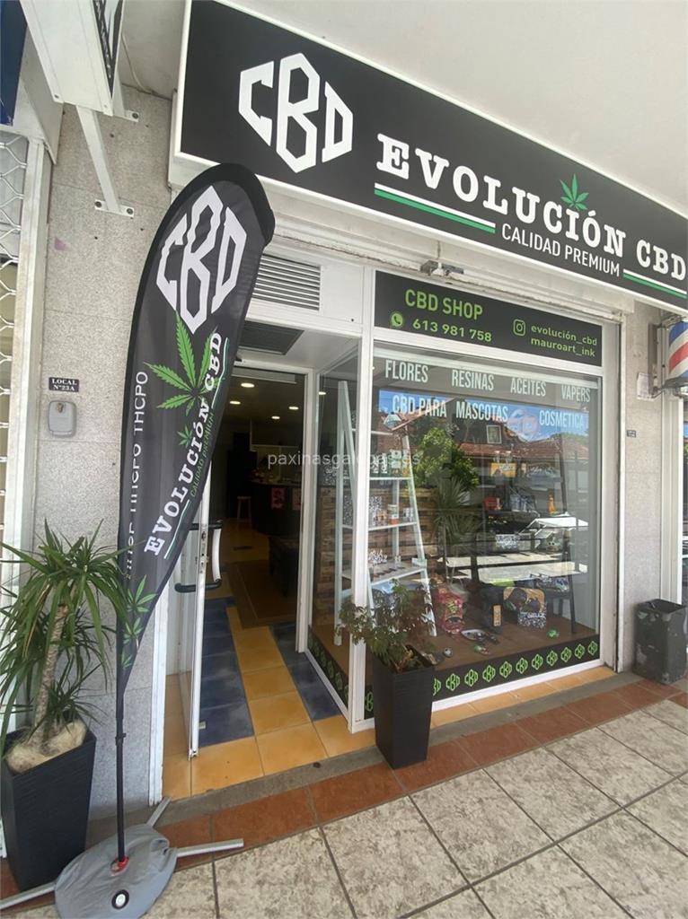 imagen principal Evolución Cbd & Mauroart Tattoo