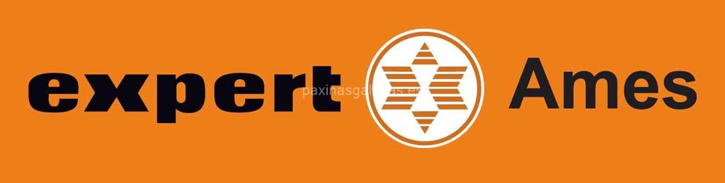 logotipo Expert