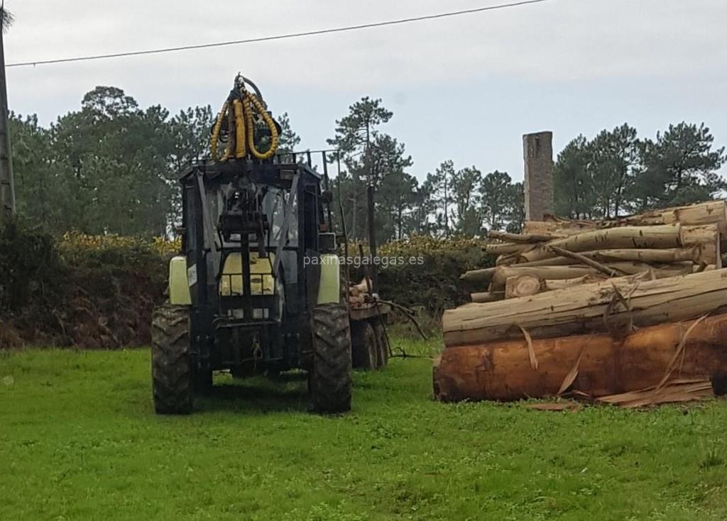 imagen principal Explotaciones Forestales Castrelo, S.L.