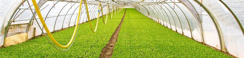 Fabricantes e instaladores de invernaderos en Galicia