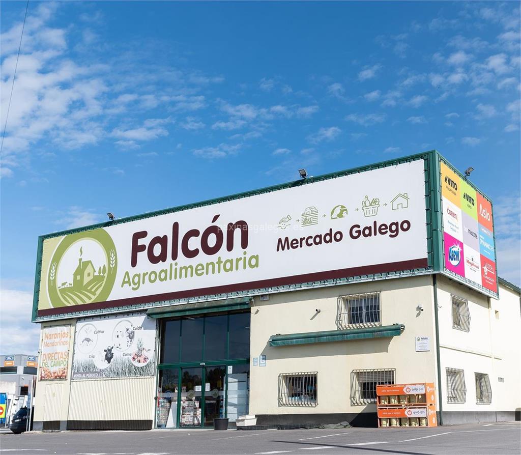 imagen principal Falcón