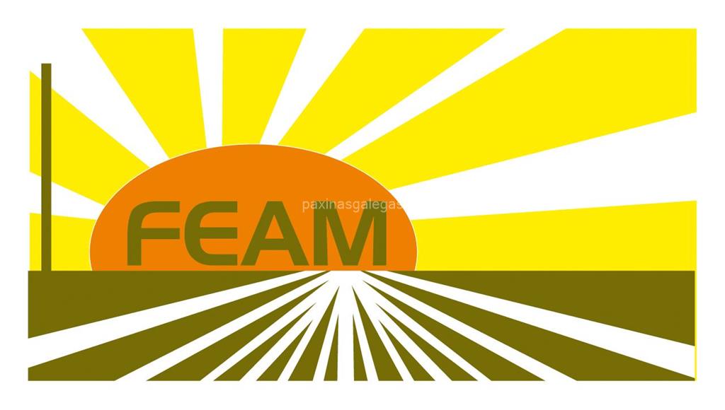 logotipo Feam Control Integral del Suelo