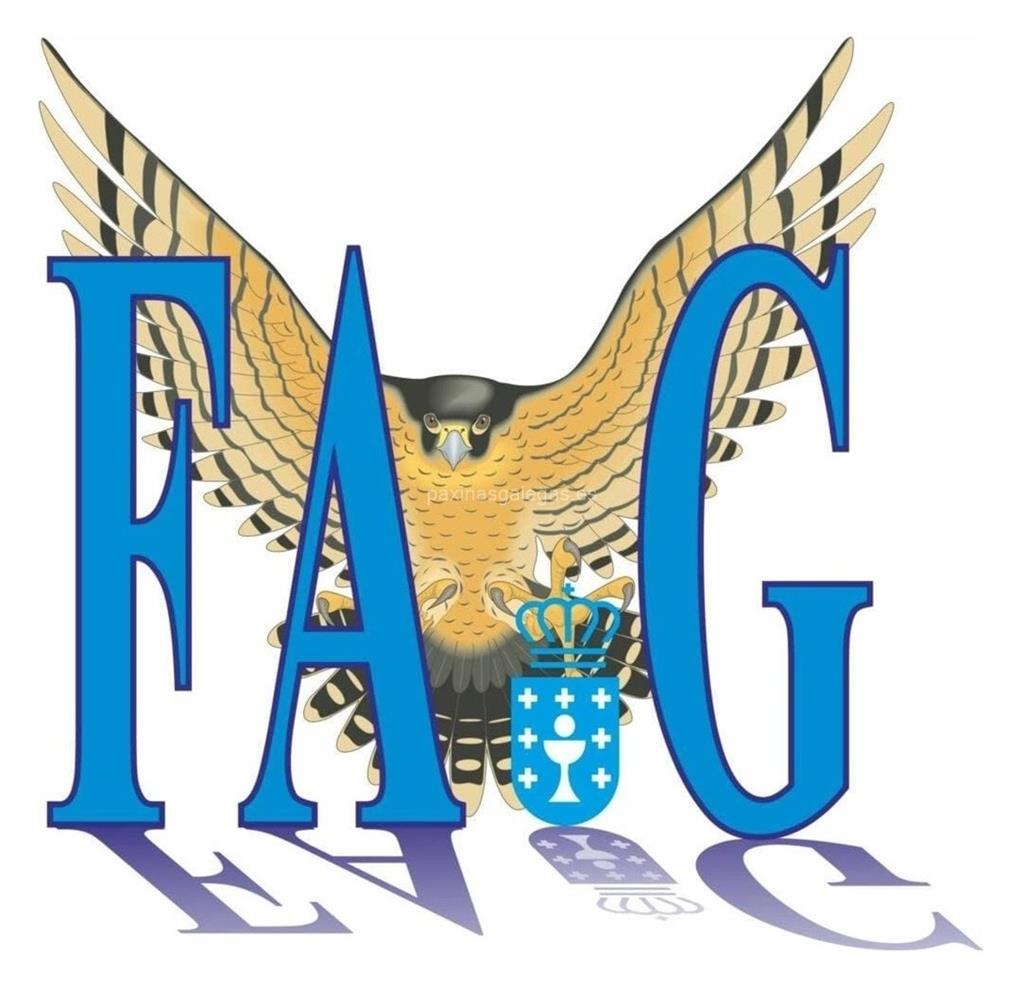 logotipo Federación Aeronáutica Gallega