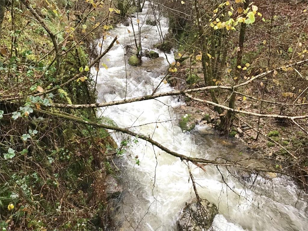 imagen principal Fervenza do Río Calvo