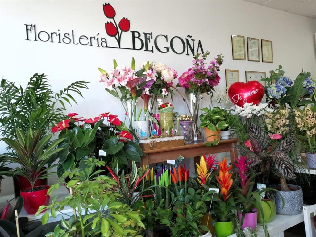 Floristería Begoña imagen 2