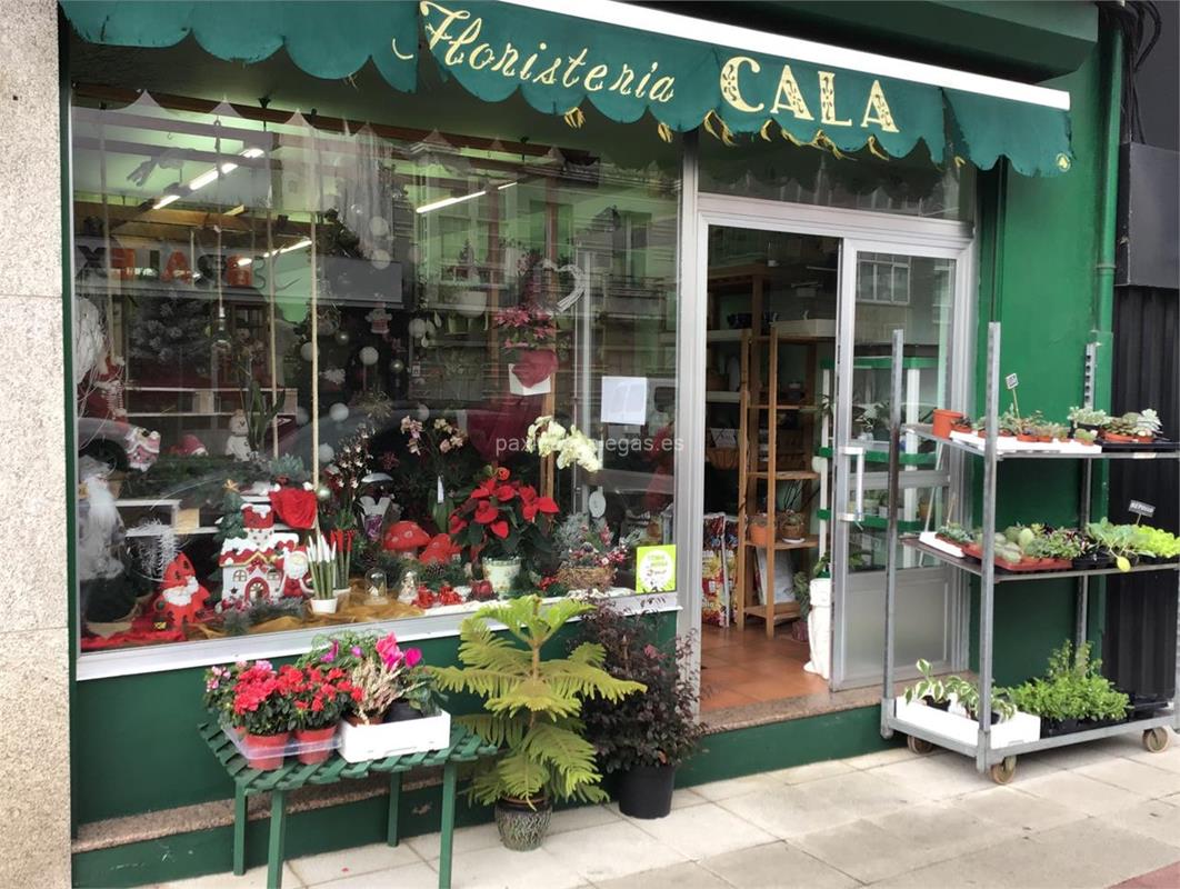 Floristería CALA