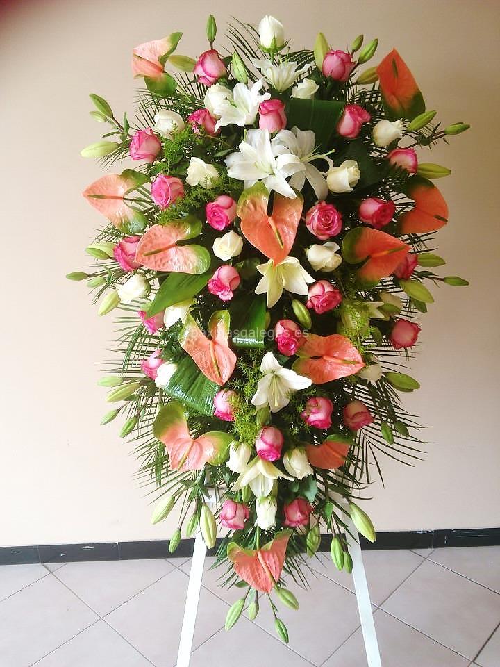 Floristería Carla - Grupo San Martín imagen 17